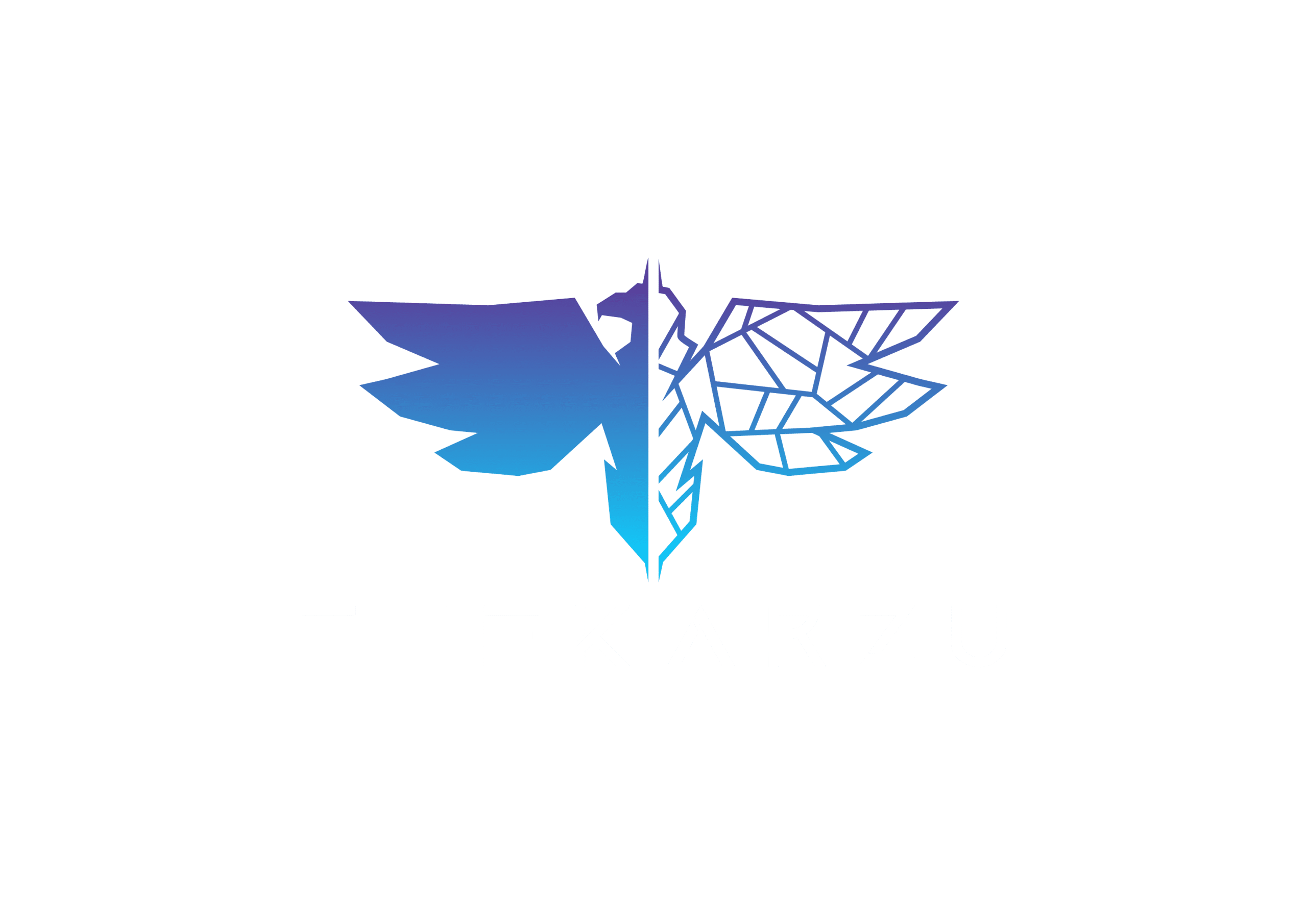 theKarzu Gaming